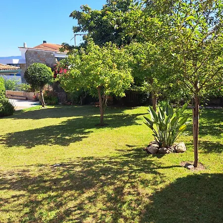 Playa De La Sirenita, Canido, *